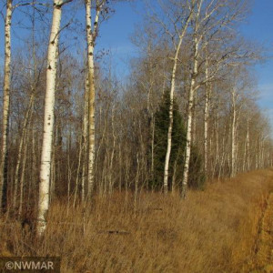 Photo for 1066 County Road 1 SE, Baudette, MN 56623 - Listing #5682950 1066 County Road 1 SE, Baudette, MN 56623