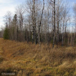 Photo for 1066 County Road 1 SE, Baudette, MN 56623 - Listing #5682950 1066 County Road 1 SE, Baudette, MN 56623