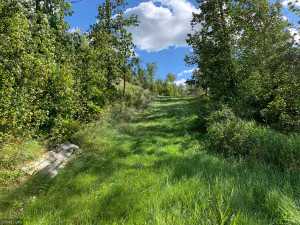 Photo for 2410 Old Still Road SW, Bemidji, MN 56601 - Listing #5652881 2410 Old Still Road SW, Bemidji, MN 56601