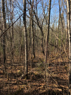 Photo for 7665 Highway 65, Littlefork, MN 56653 - Listing #5683666 7665 Highway 65, Littlefork, MN 56653