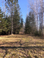 Photo for 7665 Highway 65, Littlefork, MN 56653 - Listing #5683666 7665 Highway 65, Littlefork, MN 56653