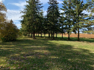 Photo for 33801 320th Street, Roseau, MN 56751 - Listing #5668162 33801 320th Street, Roseau, MN 56751