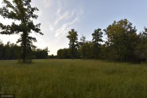 Photo for 10288 200th Street NW, Thief River Falls, MN 56701 - Listing #5686634 10288 200th Street NW, Thief River Falls, MN 56701