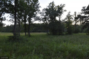 Photo for 10288 200th Street NW, Thief River Falls, MN 56701 - Listing #5686634 10288 200th Street NW, Thief River Falls, MN 56701