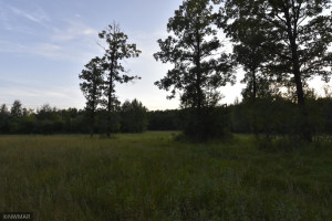 Photo for 10288 200th Street NW, Thief River Falls, MN 56701 - Listing #5686634 10288 200th Street NW, Thief River Falls, MN 56701