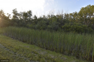 Photo for 10288 200th Street NW, Thief River Falls, MN 56701 - Listing #5686634 10288 200th Street NW, Thief River Falls, MN 56701