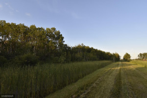 Photo for 10288 200th Street NW, Thief River Falls, MN 56701 - Listing #5686634 10288 200th Street NW, Thief River Falls, MN 56701