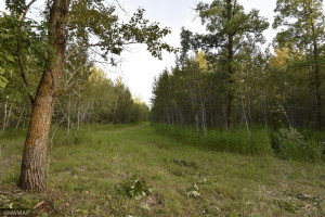 Photo for 10288 200th Street NW, Thief River Falls, MN 56701 - Listing #5686634 10288 200th Street NW, Thief River Falls, MN 56701