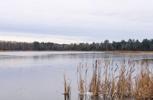 Photo for 7753 Stump Lake Drive NE, Bemidji, MN 56601 - Listing #5594320 7753 Stump Lake Drive NE, Bemidji, MN 56601