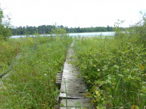 Photo for 7753 Stump Lake Drive NE, Bemidji, MN 56601 - Listing #5594320 7753 Stump Lake Drive NE, Bemidji, MN 56601