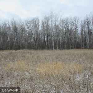 Photo for 3289 21st Avenue SW, Baudette, MN 56623 - Listing #5689020 3289 21st Avenue SW, Baudette, MN 56623