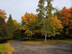 Photo for 780 Durand Drive NW, Puposky, MN 56601 - Listing #5691698 780 Durand Drive NW, Puposky, MN 56601
