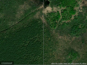 Photo for TBD 86 S County Road, Birchdale, MN 56629 - Listing #5691785 TBD 86 S County Road, Birchdale, MN 56629