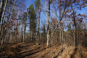 Photo for 20786 Williams Road SE, Cass Lake, MN 56633 - Listing #5691822 20786 Williams Road SE, Cass Lake, MN 56633