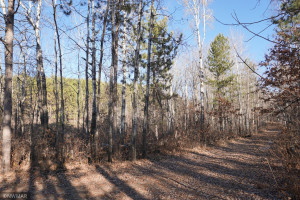 Photo for 20786 Williams Road SE, Cass Lake, MN 56633 - Listing #5691822 20786 Williams Road SE, Cass Lake, MN 56633