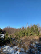 Photo for TBD State Highway 172 NW, Baudette, MN 56623 - Listing #5692439 TBD State Highway 172 NW, Baudette, MN 56623