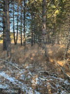 Photo for TBD State Highway 172 NW, Baudette, MN 56623 - Listing #5692439 TBD State Highway 172 NW, Baudette, MN 56623