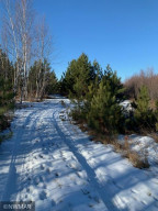 Photo for TBD State Highway 172 NW, Baudette, MN 56623 - Listing #5692439 TBD State Highway 172 NW, Baudette, MN 56623