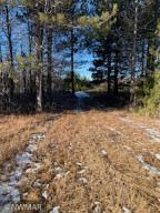 Photo for TBD State Highway 172 NW, Baudette, MN 56623 - Listing #5692439 TBD State Highway 172 NW, Baudette, MN 56623