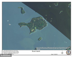 Photo for TBD Brush Island, Angle Inlet, MN 56711 - Listing #5692379 TBD Brush Island, Angle Inlet, MN 56711