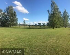 Photo for 15814 State Highway 1 Highway NE, Thief River Falls, MN 56701 - Listing #5694096 15814 State Highway 1 Highway NE, Thief River Falls, MN 56701