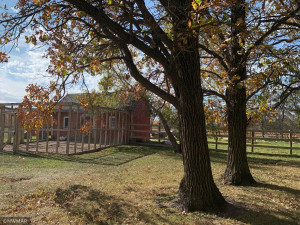 Fenced area for animals, with electricity