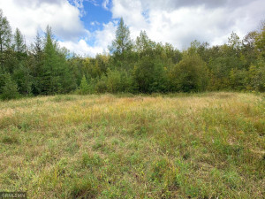 Photo for XXX 70th Ave NW, Williams, MN 56686 - Listing #5695697 XXX 70th Ave NW, Williams, MN 56686