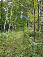 Photo for XXX 70th Ave NW, Williams, MN 56686 - Listing #5695697 XXX 70th Ave NW, Williams, MN 56686