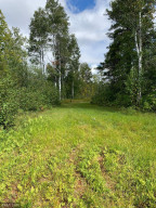 Photo for XXX 70th Ave NW, Williams, MN 56686 - Listing #5695697 XXX 70th Ave NW, Williams, MN 56686