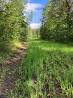 Photo for XXX 70th Ave NW, Williams, MN 56686 - Listing #5695697 XXX 70th Ave NW, Williams, MN 56686
