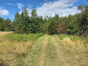 Photo for XXX 70th Ave NW, Williams, MN 56686 - Listing #5695697 XXX 70th Ave NW, Williams, MN 56686