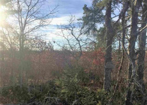 Photo for TBD E Highway 11, International Falls, MN 56649 - Listing #5697153 TBD E Highway 11, International Falls, MN 56649