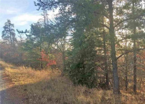 Photo for TBD E Highway 11, International Falls, MN 56649 - Listing #5697153 TBD E Highway 11, International Falls, MN 56649