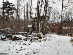 Photo for TBD White Pine Drive, Bagley, MN 56621 - Listing #5697174 TBD White Pine Drive, Bagley, MN 56621