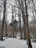 Photo for TBD White Pine Drive, Bagley, MN 56621 - Listing #5697174 TBD White Pine Drive, Bagley, MN 56621
