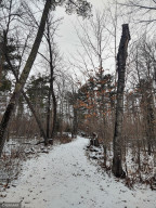 Photo for TBD White Pine Drive, Bagley, MN 56621 - Listing #5697174 TBD White Pine Drive, Bagley, MN 56621