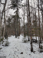 Photo for TBD White Pine Drive, Bagley, MN 56621 - Listing #5697174 TBD White Pine Drive, Bagley, MN 56621