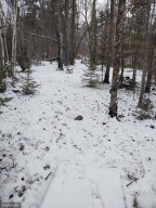 Photo for TBD White Pine Drive, Bagley, MN 56621 - Listing #5697174 TBD White Pine Drive, Bagley, MN 56621