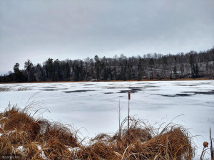 Photo for TBD White Pine Drive, Bagley, MN 56621 - Listing #5697174 TBD White Pine Drive, Bagley, MN 56621