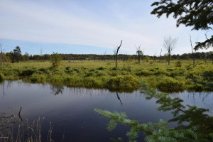 Photo for 3070 Miller Road SW, Bemidji, MN 56601 - Listing #5697207 thumbnail_80085290_163711614990969_4365043694638727168_o