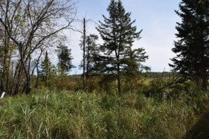 Photo for 3070 Miller Road SW, Bemidji, MN 56601 - Listing #5697207 thumbnail_79768549_163019031726894_7153275401651879936_o