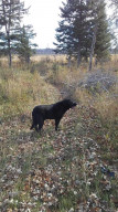 Photo for 3070 Miller Road SW, Bemidji, MN 56601 - Listing #5697207 3070 Miller Road SW, Bemidji, MN 56601