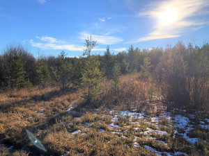 Photo for Lot A County Road 106, International Falls, MN 56649 - Listing #5698998 Lot A County Road 106, International Falls, MN 56649