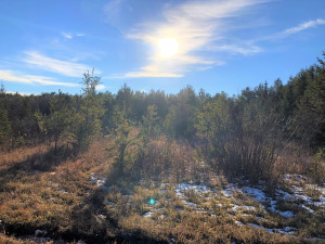 Photo for Lot A County Road 106, International Falls, MN 56649 - Listing #5698998 Lot A County Road 106, International Falls, MN 56649