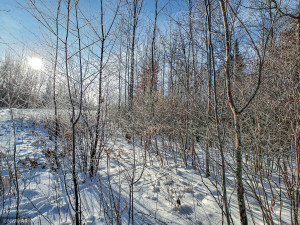 Photo for TBD W Mayberry Drive, Cass Lake, MN 56633 - Listing #5700068 TBD W Mayberry Drive, Cass Lake, MN 56633