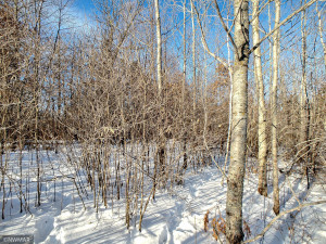 Photo for TBD W Mayberry Drive, Cass Lake, MN 56633 - Listing #5700068 TBD W Mayberry Drive, Cass Lake, MN 56633