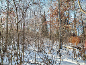 Photo for TBD W Mayberry Drive, Cass Lake, MN 56633 - Listing #5700068 TBD W Mayberry Drive, Cass Lake, MN 56633