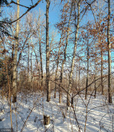 Photo for TBD W Mayberry Drive, Cass Lake, MN 56633 - Listing #5700068 TBD W Mayberry Drive, Cass Lake, MN 56633