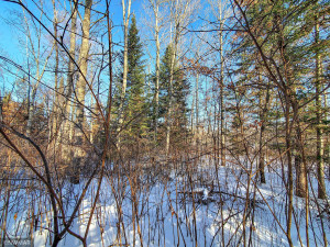 Photo for TBD W Mayberry Drive, Cass Lake, MN 56633 - Listing #5700068 TBD W Mayberry Drive, Cass Lake, MN 56633