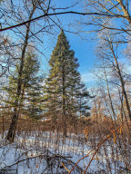 Photo for TBD W Mayberry Drive, Cass Lake, MN 56633 - Listing #5700068 TBD W Mayberry Drive, Cass Lake, MN 56633